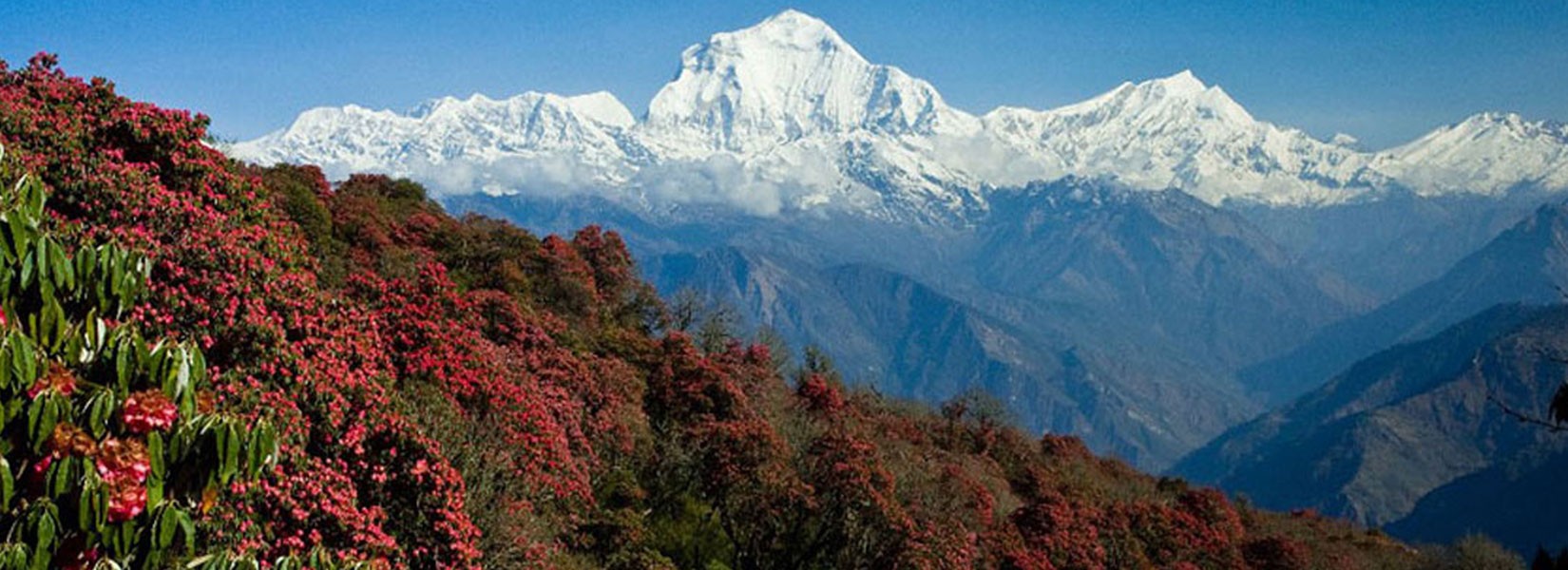 Trekking In Nepal.