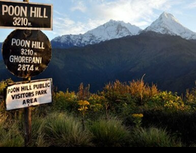 Ghorepani Poon hill trek.